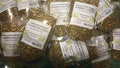 Assaisonnement pommes sautees 80 grammes