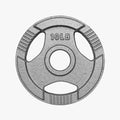 Cast Iron Olympic Plate - 10 LBS [piece] (OPCILB-10)