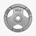 Cast Iron Olympic Plate - 25 LBS [piece] (OPCILB-25)