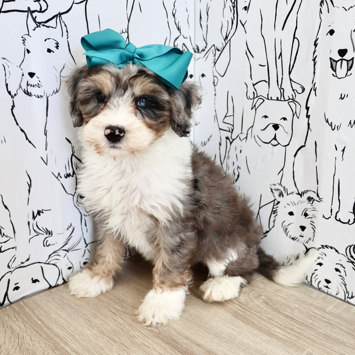 Della - Available 9/22