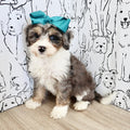Della - Available 9/22