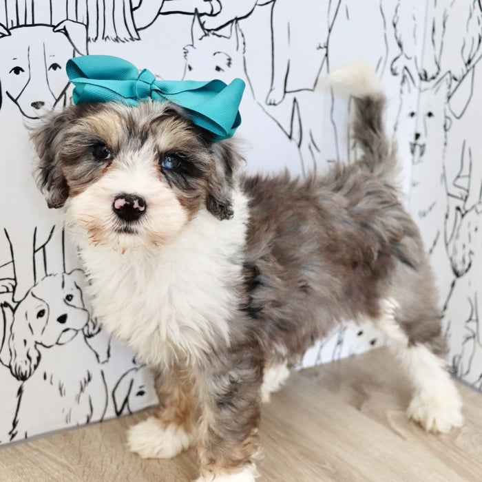 Della - Available 9/22
