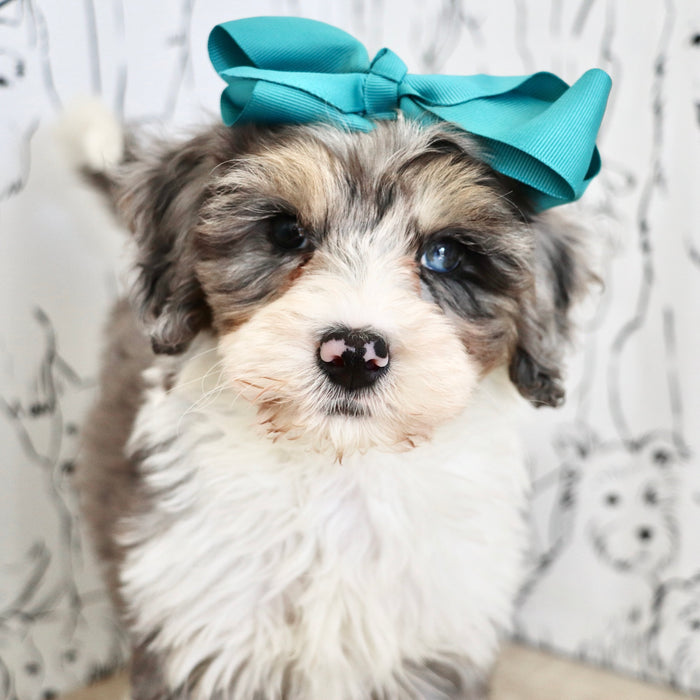 Della - Available 9/22