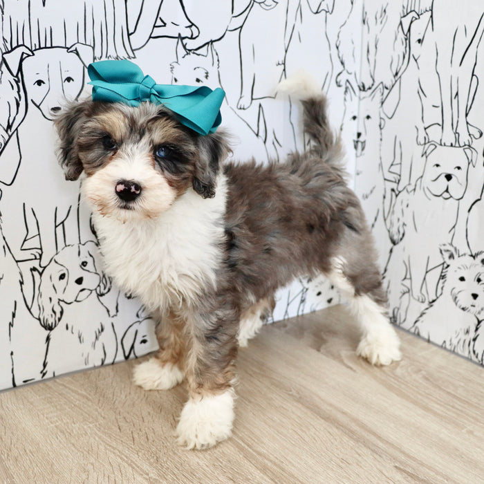 Della - Available 9/22