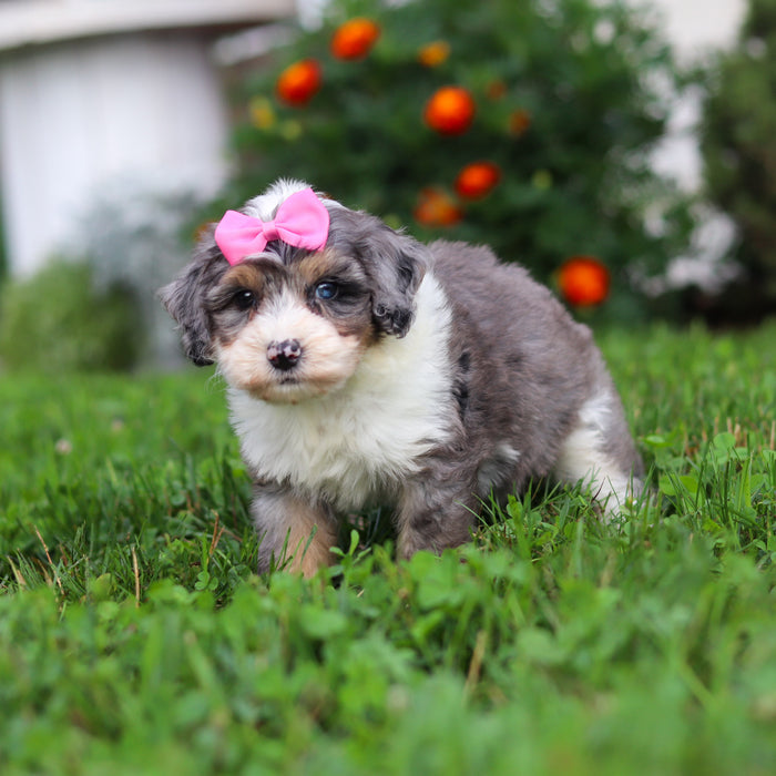 Della - Available 9/22