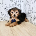 Eastwood - Available Now