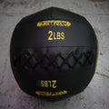 Kids 10" Premium Wall Ball - 2 LB (WBPBK-02)