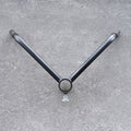 Landmine T-Bar Row