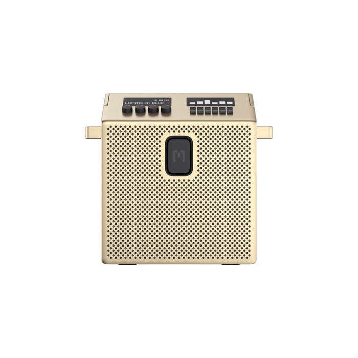 มุมมองด้านหน้าลำโพง MONDO BT Speaker Medium สี Brass แสดง passive bass radiator และโทนสีทองเหลือง