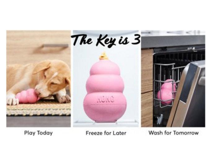 Puppy Teething Toy