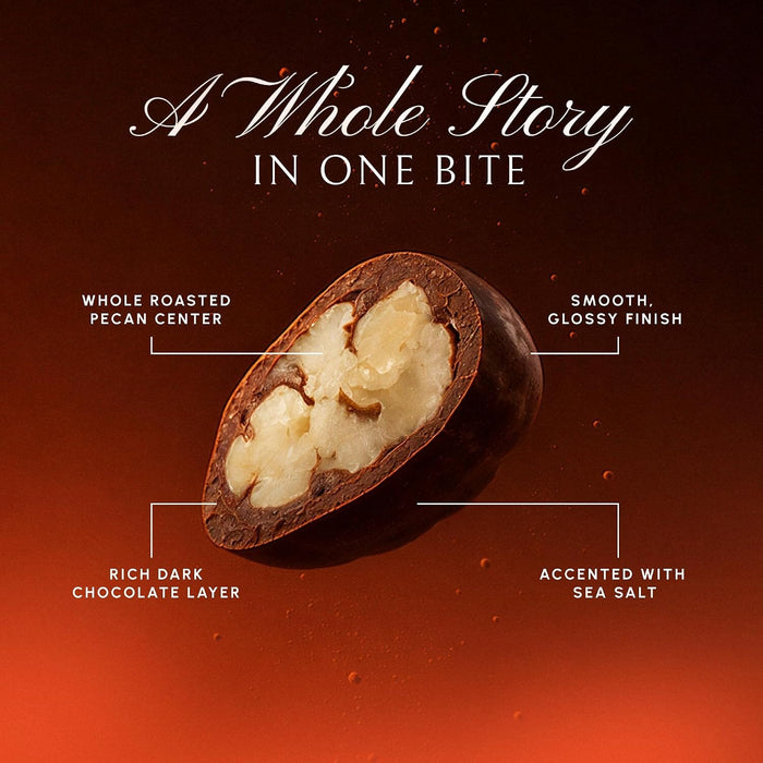 Snackathon Dark Chocolate Covered Pecans with Sea Salt Snackathon