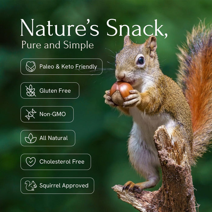 Snackathon Oregon Hazelnuts In Shell, Raw Whole Filberts (Various Sizes) Snackathon