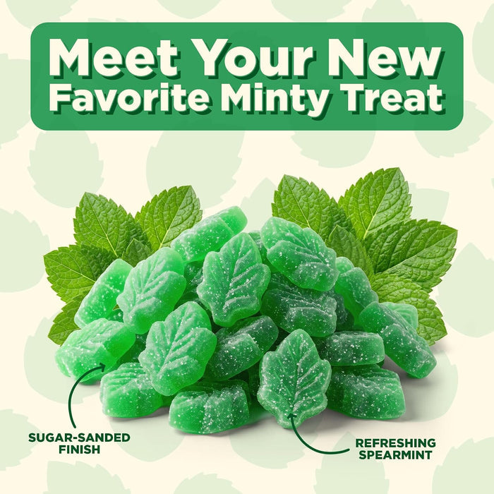 Snackathon Spearmint Leaves Candy, Soft & Chewy Mint Jelly Candy Snackathon