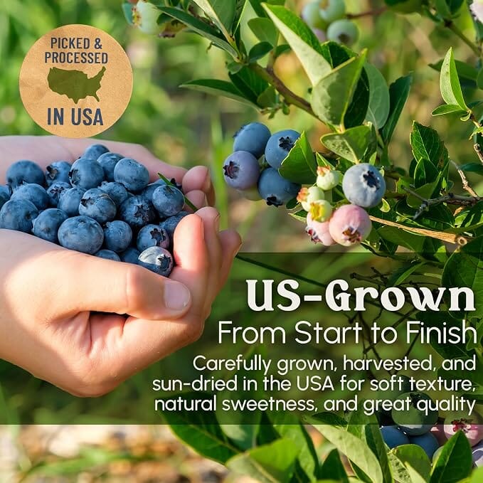 Snackathon Unsweetened Dried Blueberries, 4 oz, No Sugar Added, Just 100% Sun-Dried California Whole Berries, All Natural, Non-GMO, No Oils, Resealable Bag, Dried Fruit for Baking & Snacking Snackathon Foods