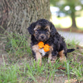 Turner - Available 9/17